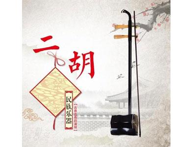 招聘宁德二胡家教老师